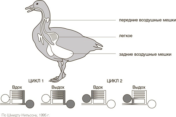 На грани возможного: Наука выживания - i_012.jpg