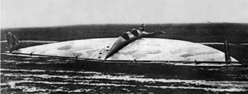 Экспериментальные самолёты России. 1912-1941 гг. - i_069.jpg