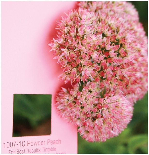 Творческий год. Времена года и праздники в играх, поделках, рецептах - i_013.jpg