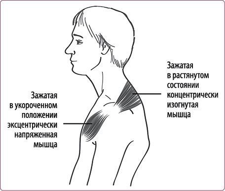 Правильная осанка – долгая молодость. Система Осьмионика - i_017.jpg