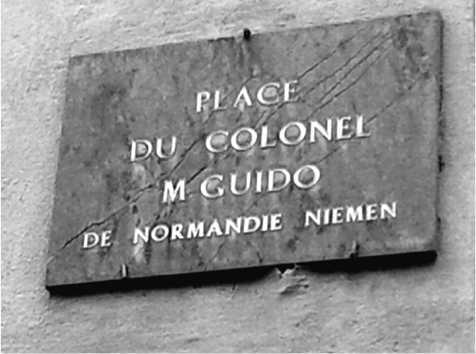 Подлинная история авиаполка «Нормандия – Неман» - i_039.jpg