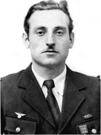 Подлинная история авиаполка «Нормандия – Неман» - i_041.jpg