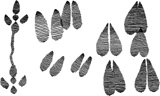 Забытые острова - i_029.png