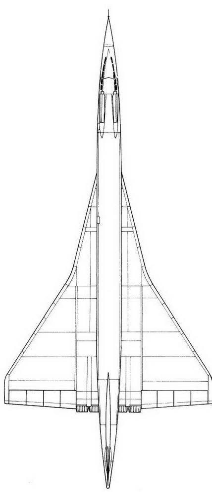 Столетняя история «летающего крыла» - img_317.jpg