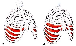 Анатомия йоги - _05.jpg_0