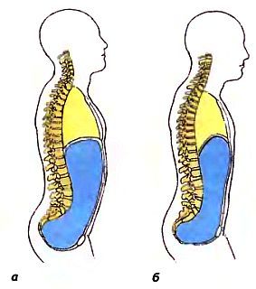 Анатомия йоги - _06.jpg_0