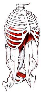 Анатомия йоги - _07.jpg_0