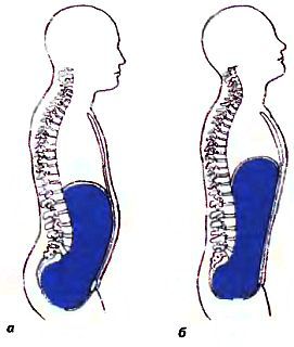 Анатомия йоги - _09.jpg_0