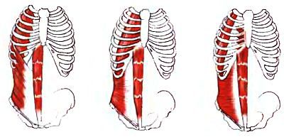 Анатомия йоги - _13.jpg_0