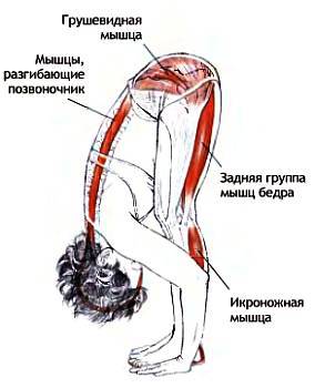 Анатомия йоги - _53.jpg