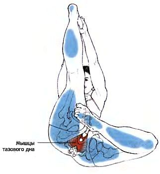 Анатомия йоги - _103.jpg