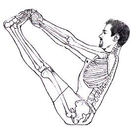 Анатомия йоги - _105.jpg