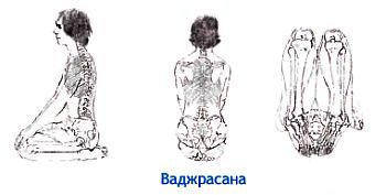 Анатомия йоги - _106.jpg