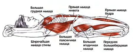 Анатомия йоги - _109.jpg