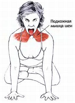 Анатомия йоги - _122.jpg