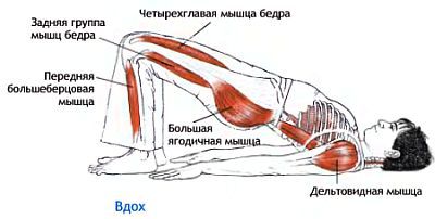 Анатомия йоги - _131.jpg