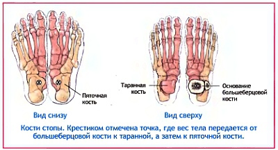 Анатомия йоги - _44.jpg_0