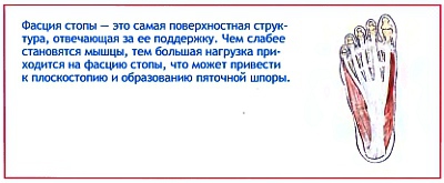 Анатомия йоги - _45.jpg_0