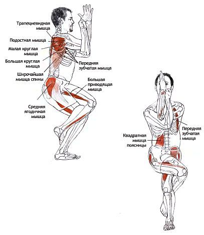Анатомия йоги - _51.jpg_0