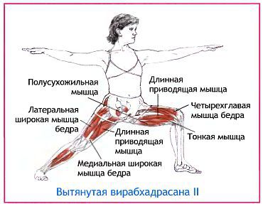 Анатомия йоги - _58.jpg