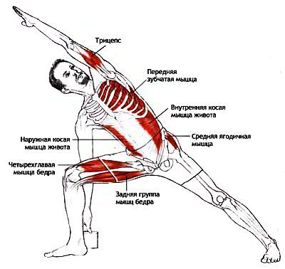 Анатомия йоги - _60.jpg