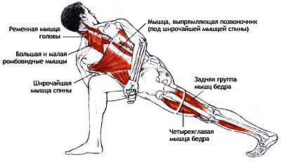 Анатомия йоги - _61.jpg
