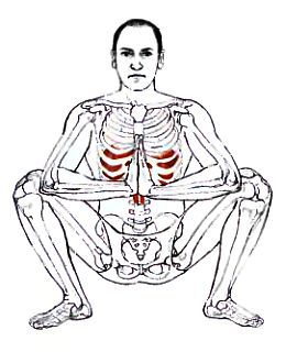 Анатомия йоги - _70.jpg