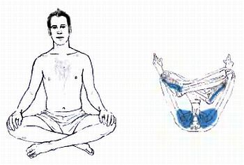 Анатомия йоги - _72.jpg