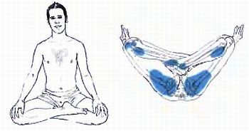 Анатомия йоги - _74.jpg