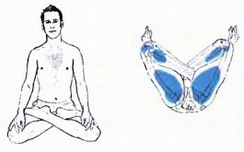 Анатомия йоги - _75.jpg