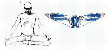 Анатомия йоги - _76.jpg