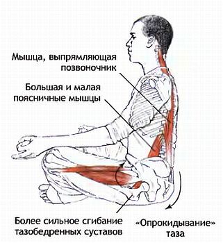 Анатомия йоги - _77.jpg
