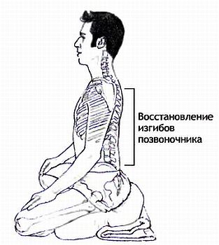 Анатомия йоги - _78.jpg
