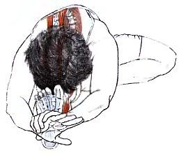 Анатомия йоги - _82.jpg