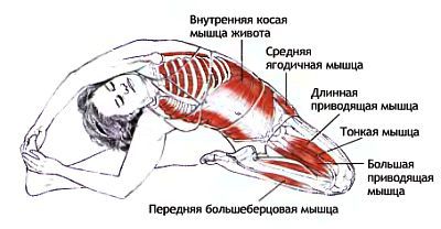 Анатомия йоги - _84.jpg