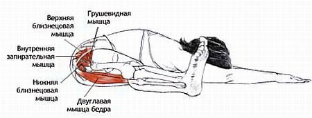 Анатомия йоги - _86.jpg