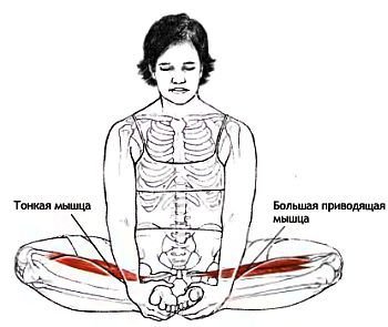 Анатомия йоги - _89.jpg