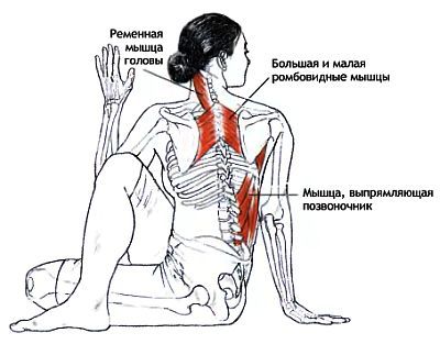 Анатомия йоги - _92.jpg