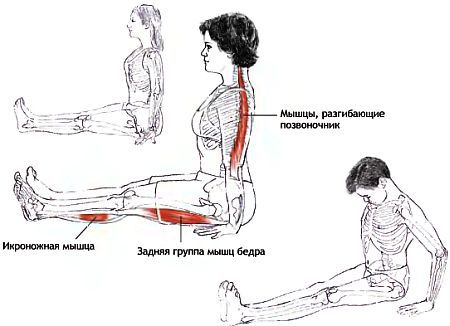Анатомия йоги - _94.jpg