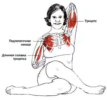 Анатомия йоги - _95.jpg