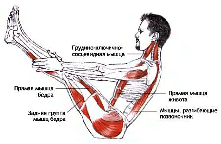 Анатомия йоги - _104.jpg_0