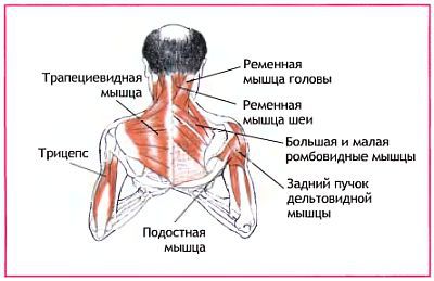 Анатомия йоги - _138.jpg