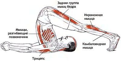 Анатомия йоги - _144.jpg