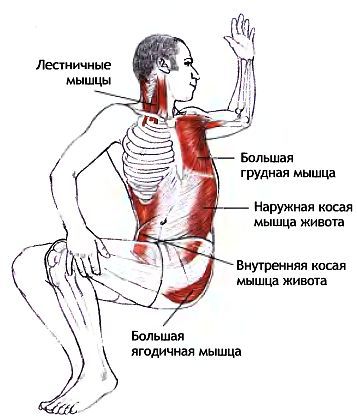 Анатомия йоги - _148.jpg