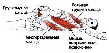 Анатомия йоги - _150.jpg