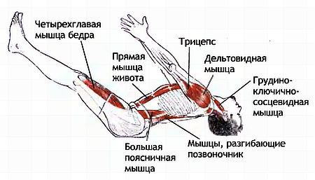 Анатомия йоги - _152.jpg