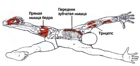 Анатомия йоги - _163.jpg