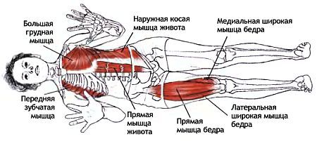 Анатомия йоги - _170.jpg