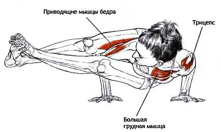 Анатомия йоги - _171.jpg