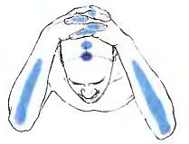 Анатомия йоги - _182.jpg